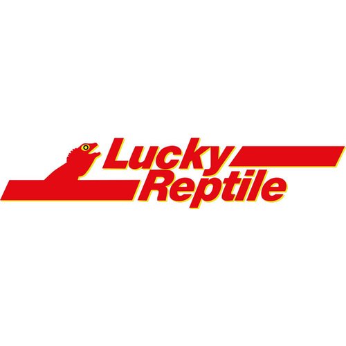 Lucky Reptile