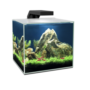 Ciano Cube Aquariums