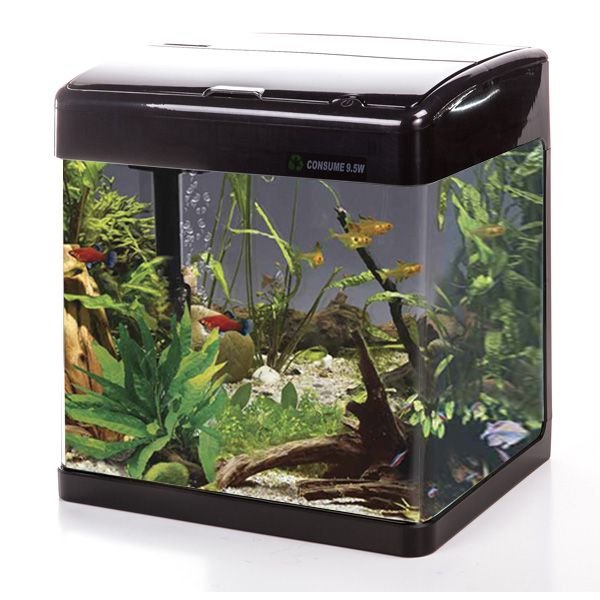 BiOrb Aquariums | Biorb Accessories