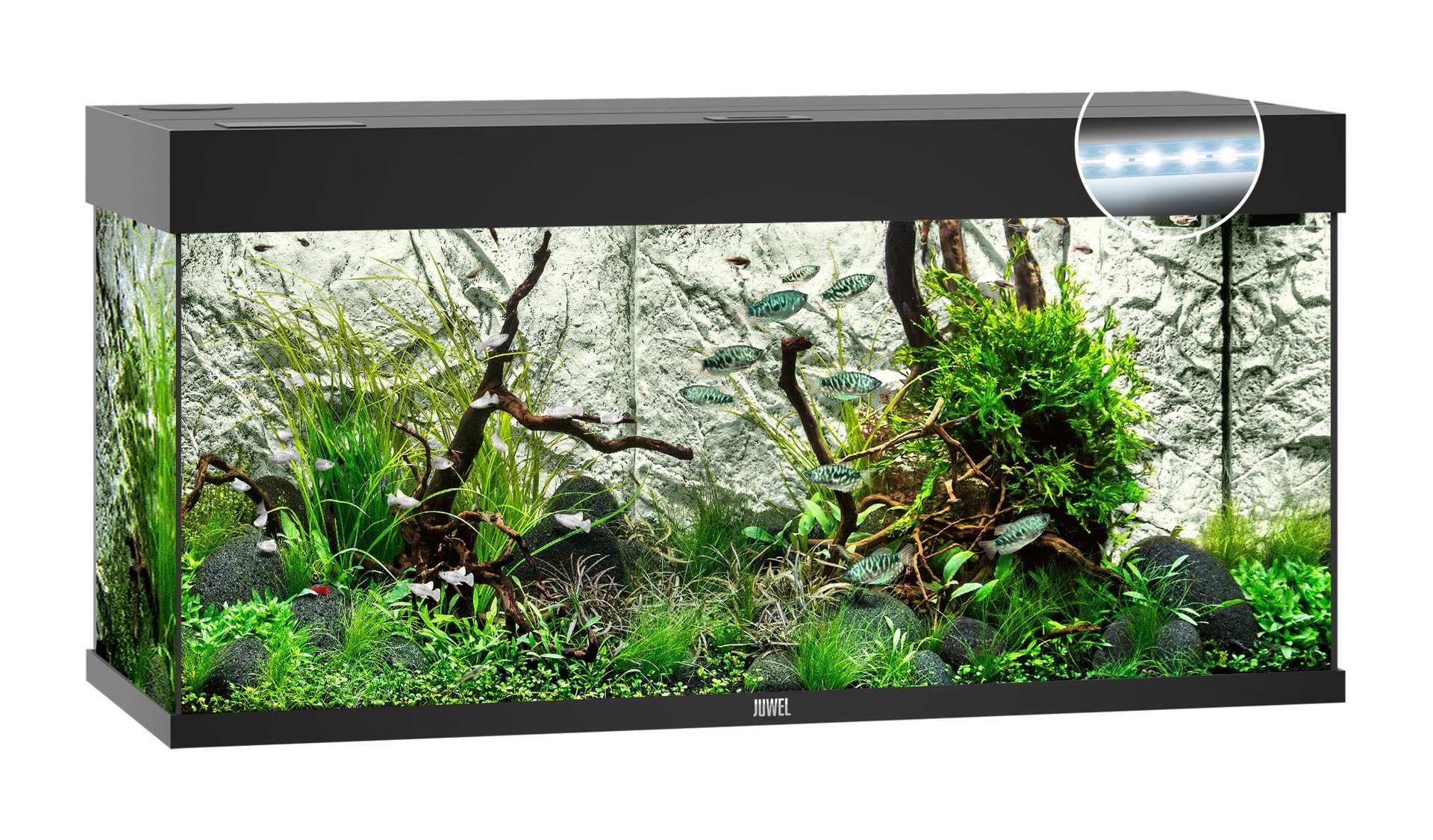 Juwel Aquariums Rio 180 LED black (04352) - Rio Aquariums - Aquarium ...