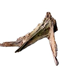 Single XXL Driftwood