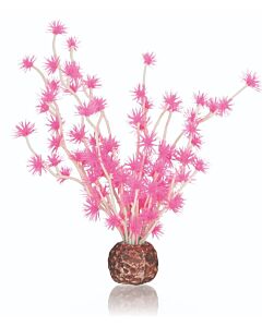 biOrb Plants & Decor Bonsai ball pink (55067)