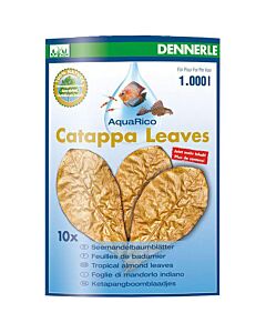 Dennerle Catappa Leaves Large x 10 pcs