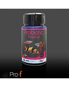 NT Pro-F Probiotic Tropical Fish Food 45g