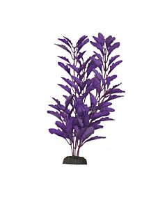 Hugo Kamishi Nasaea Purple Silk 13cm - Aquarium Plant