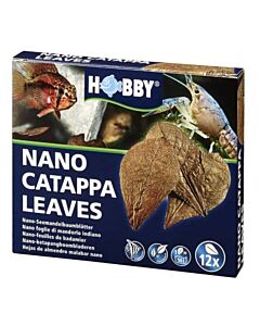Hobby - Catappa Leaves 12 Pack