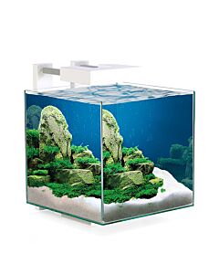 Ciano Nexus Pure Cube Aquarium With LED - 15 14L
