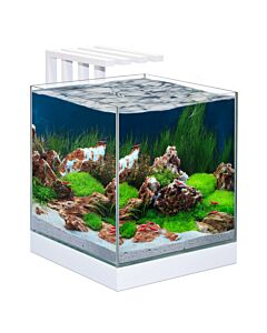 Ciano Nexus Pure Cube Aquarium With LED - 25 22L