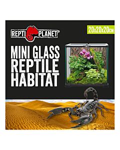 Repti Planet Glass Terrarium - 20cm x 20cm x 20cm