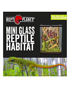 Repti Planet Glass Terrarium - 20cm x 20cm x 30cm