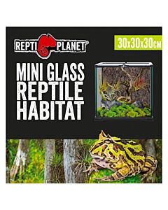 Repti Planet Glass Terrarium - 30cm x 30cm x 30cm