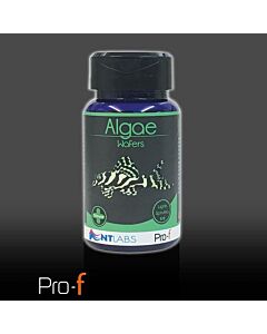 NT Algae Wafers 110g Pot
