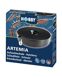 Hobby - Artemia Brine Shrimp Eggs Breeder Hatchery