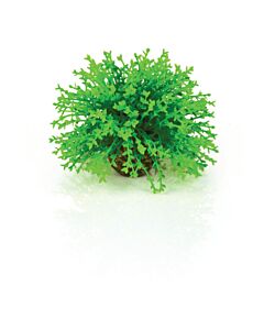 Biorb Topiary Ball - Green 