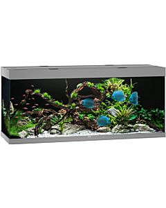Juwel Aquariums Rio 450 Litre LED grey (05650)