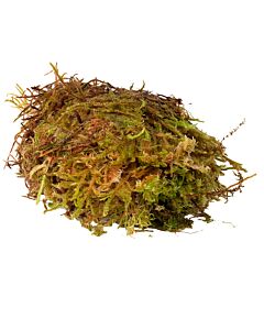 HabiStat Sphagnum Moss - 250g