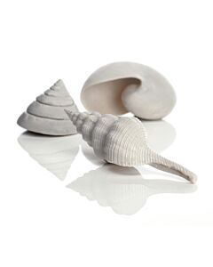biOrb White Sea Shells