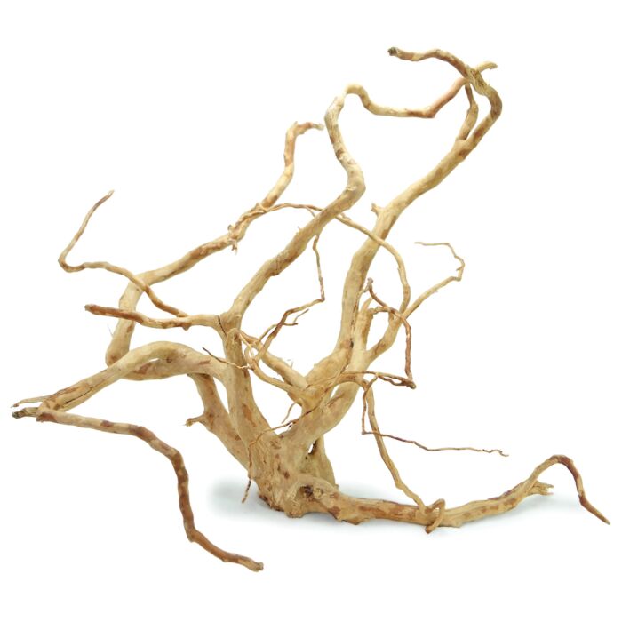 Wood Root 40-80cm Single Piece