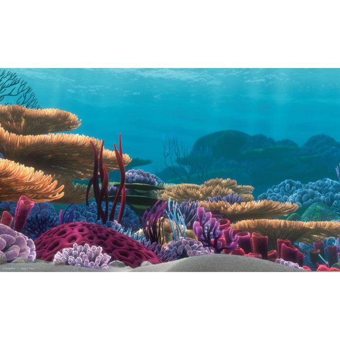 Finding Nemo Aquarium Poster Background 60 x 40cm