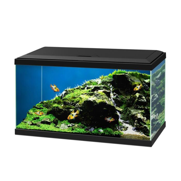 Ciano Aquarium 60 LED - Black (Including CF80 Filter, Heater & LED Lighting) 58 Litre