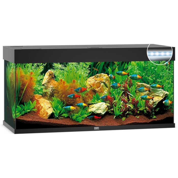 Aquarium Juwel Rio online 240