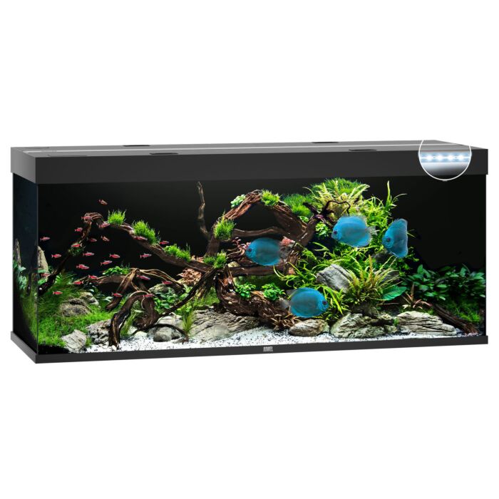 Juwel Rio 450 Aquarium - Black (LED lighting)