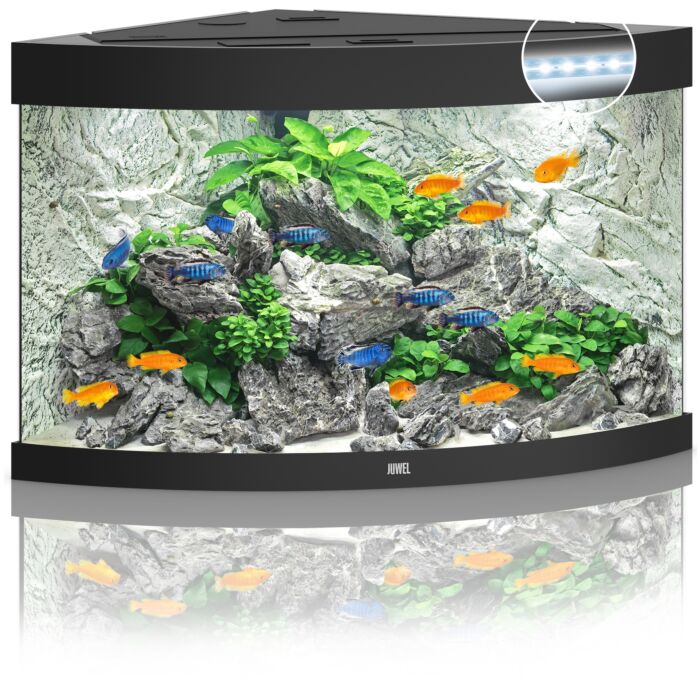 Juwel Aquariums Trigon 190 LED black