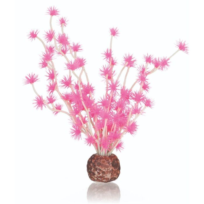 biOrb Plants & Decor Bonsai ball pink (55067)