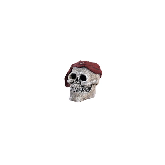 Hugo Kamishi Skeleton/Scarf 19X19x16 Ornament