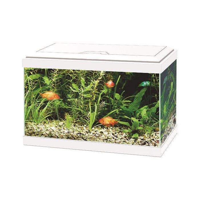 Ciano Aquarium 20 - White (Including CF40 Filter & LED Lighting) 17 Litre