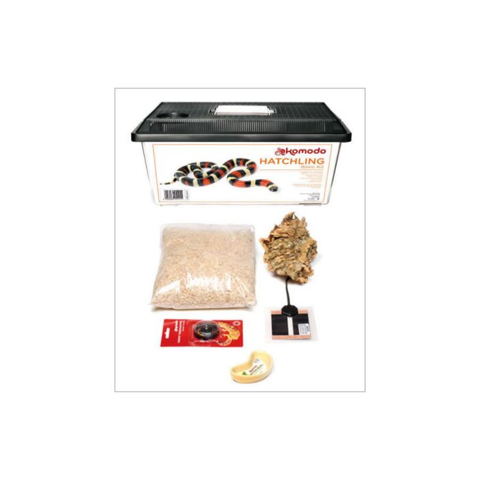 Komodo Basic Hatchling Kit 