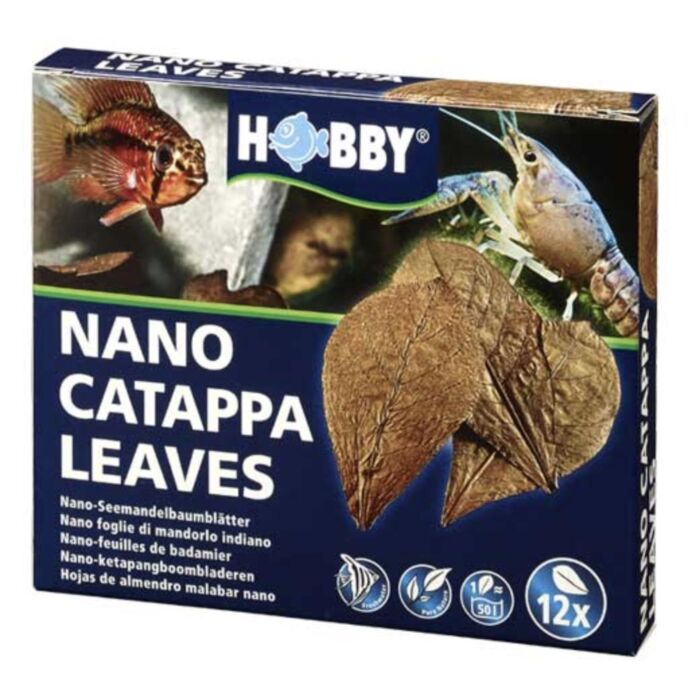 Hobby - Catappa Leaves 12 Pack
