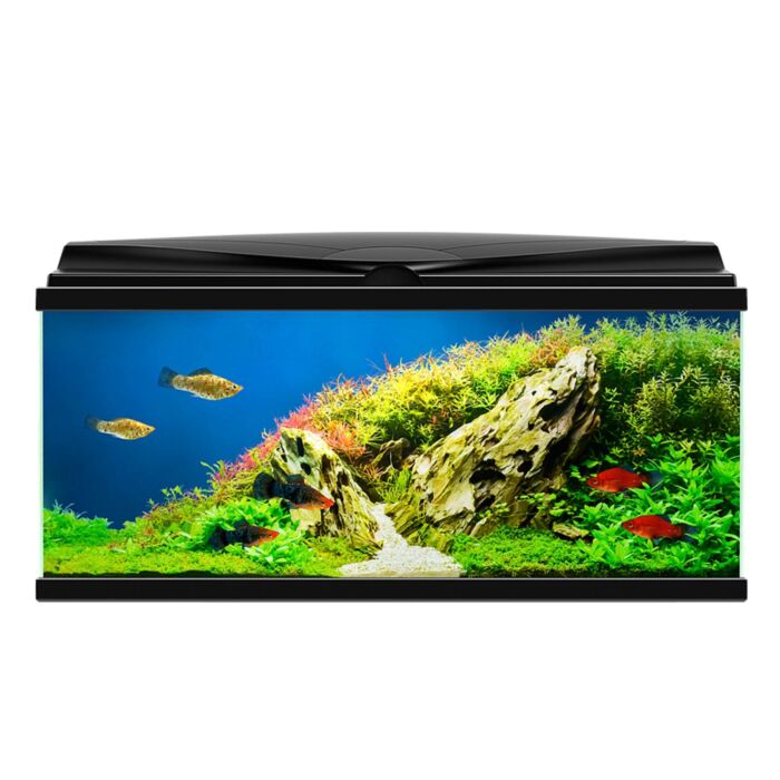 Ciano Aquarium 80 LED - Black (Including CFBIO150 Filter, Heater & LED Lighting) 71 Litre