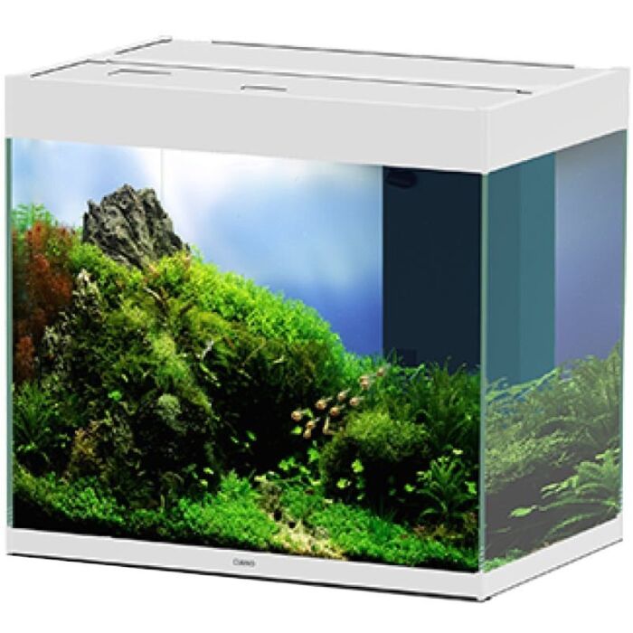 Ciano En Pro 60 Aquarium Only 108 Litres White (AQM700709)