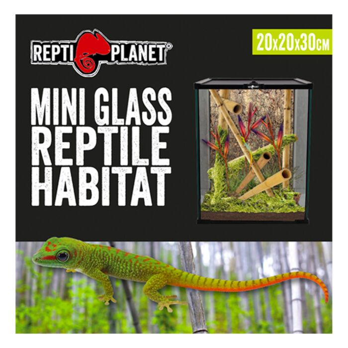 Repti Planet Glass Terrarium - 20cm x 20cm x 30cm