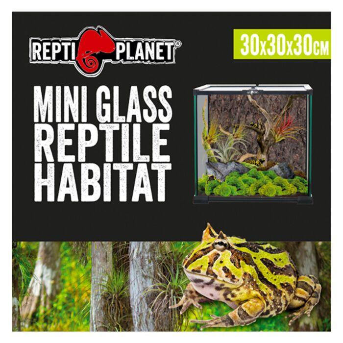 Repti Planet Glass Terrarium - 30cm x 30cm x 30cm