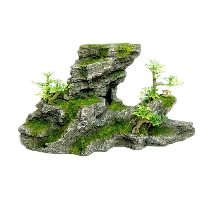 C-Shape Rock Formation With Plant