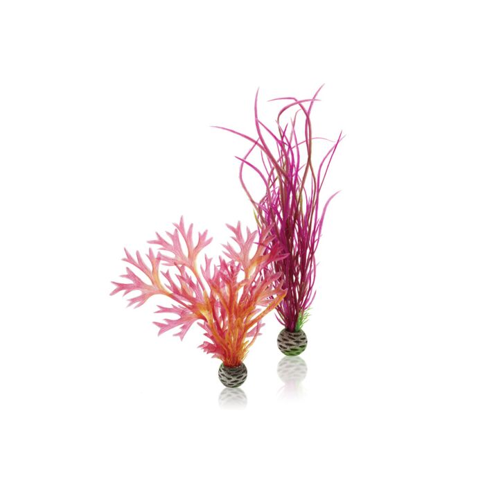 biOrb Easy Plants Red and Pink 2 Pack