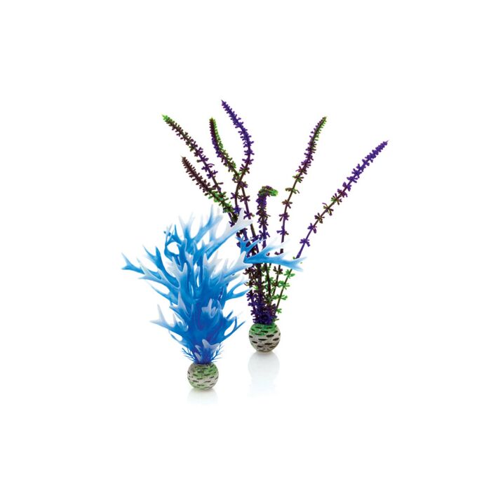 biOrb Easy Plants Blue and Purple 2 Pack
