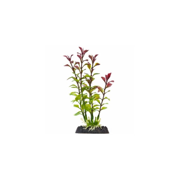 Finding Nemo Blooming Ludwigia Red Plastic Plant Small
