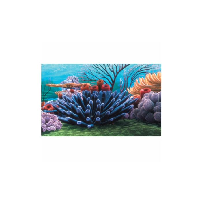 Finding Nemo Coral Reef Poster Background 51 x 31cm (20x12 inches)