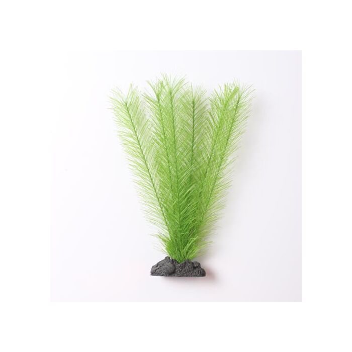 Hugo Kamishi Green Fern 18-20cm 2