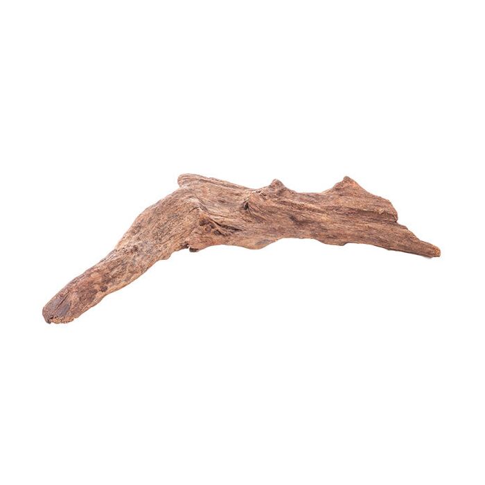 Driftwood - Medium / Large