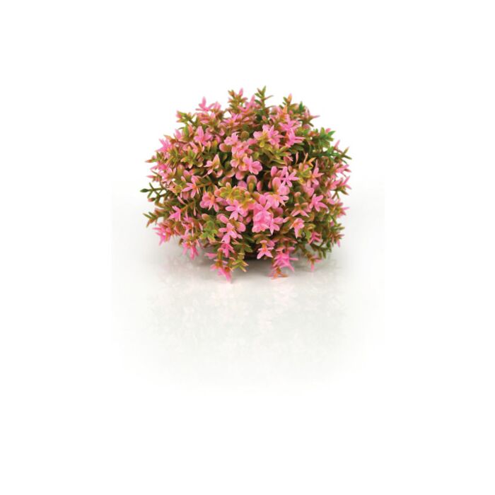Biorb Topiary Ball - Pink 