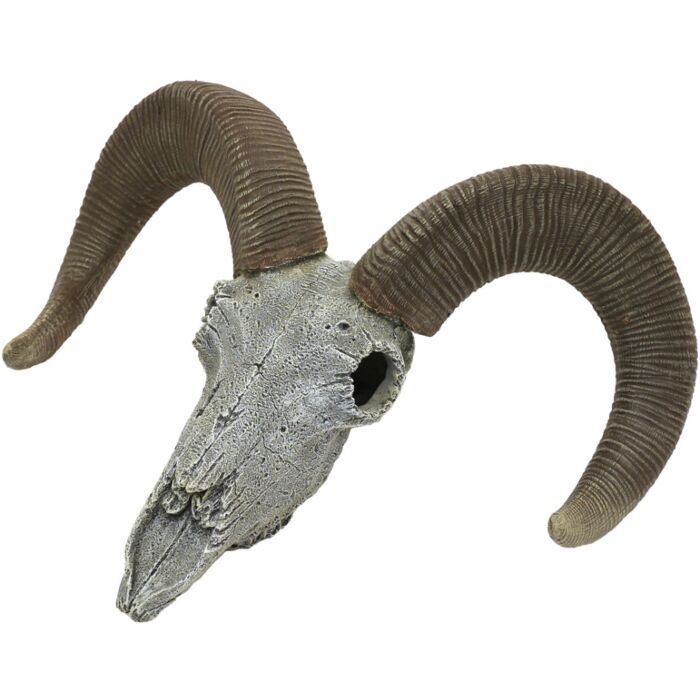 Rosewood Blue Ribbon Aquarium Ornament Ram's Head Skull