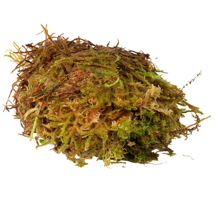HabiStat Sphagnum Moss - 250g