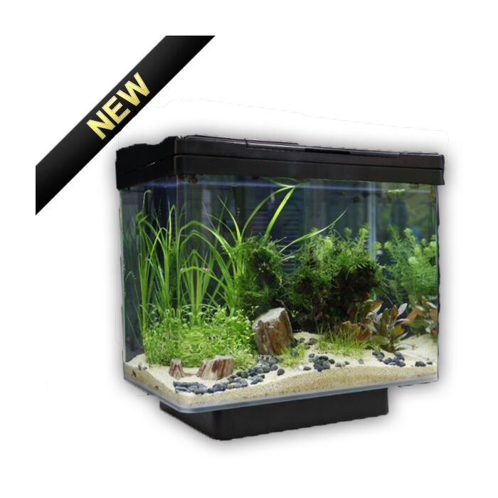 Juwel Vio 40 Fish Aquarium Black -Small 30 Litres